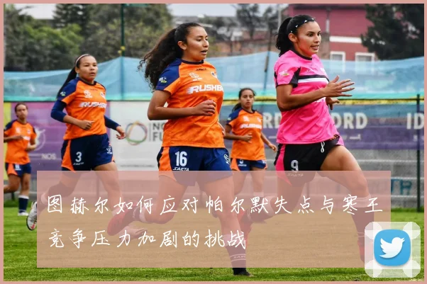 图赫尔如何应对帕尔默失点与寒王竞争压力加剧的挑战