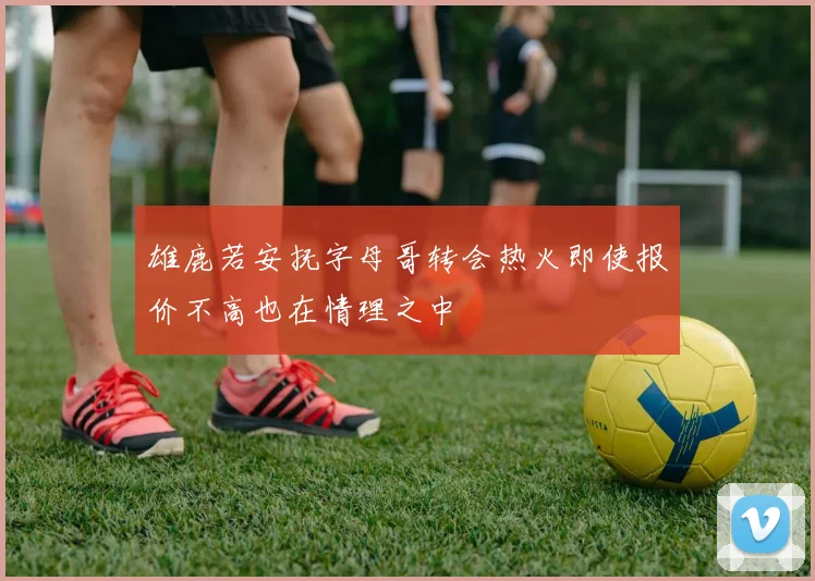 雄鹿若安抚字母哥转会热火即使报价不高也在情理之中
